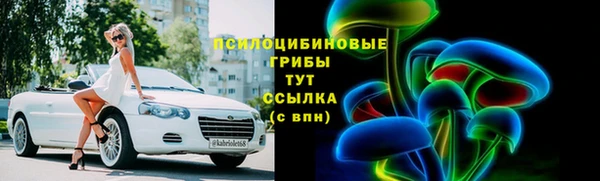 герыч Пестово