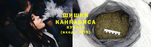 ALPHA PVP Осинники