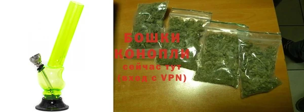 ALPHA PVP Осинники