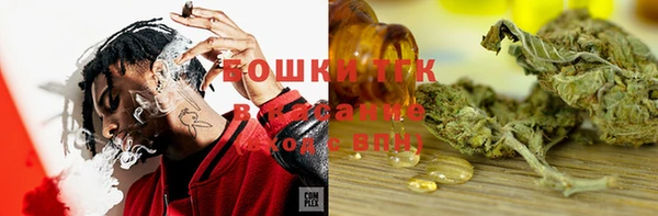 ALPHA PVP Осинники