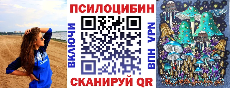 где купить наркотик Баймак Галлюциногенные грибы GOLDEN TEACHER